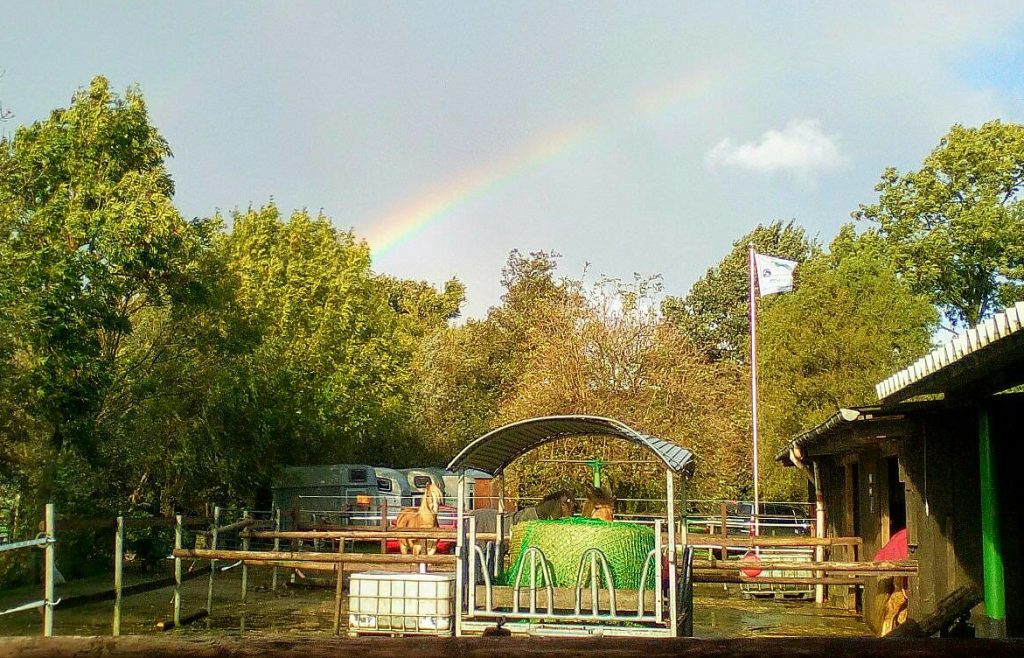 Regenbogen Reitanlage Zimmer